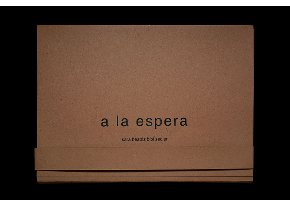 Ver extracto